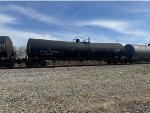 CTCX 207063